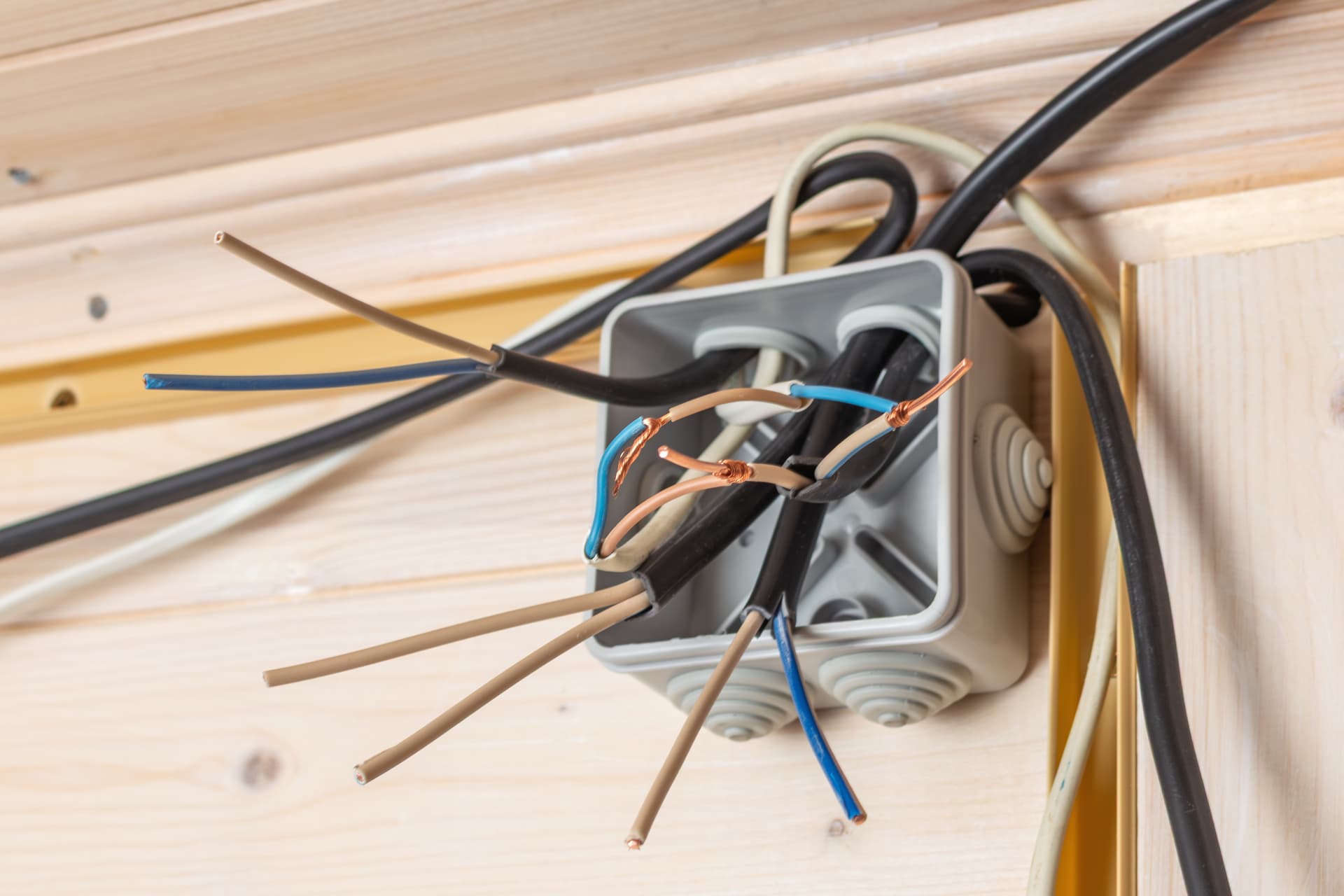 open junction box with multiple exposed copper bl 2026 03 20 04 09 56 utc 1 Services Established more than 40 years ago near Palm Beach, Florida it’s still Lighthouse Energy Services that provides only the best 24hr electricians, 24hr emergency electrical service, 24hr emergency service and electrical repairs throughout Palm Beach County, Broward County and Miami-Dade County. With the very best professional Palm Beach 24hr electricians around for all sizes and types of commercial, industrial or residential 24hr emergency electrical service and commercial, industrial or residential electrical repairs or electrical equipment installations for more than 40 years. Contact Bruce at Lighthouse Energy by filling out the form on this page or giving him a call. open junction box with multiple exposed copper bl 2026 03 20 04 09 56 utc 1 Services Established more than 40 years ago near Palm Beach, Florida it’s still Lighthouse Energy Services that provides only the best 24hr electricians, 24hr emergency electrical service, 24hr emergency service and electrical repairs throughout Palm Beach County, Broward County and Miami-Dade County. With the very best professional Palm Beach 24hr electricians around for all sizes and types of commercial, industrial or residential 24hr emergency electrical service and commercial, industrial or residential electrical repairs or electrical equipment installations for more than 40 years. Contact Bruce at Lighthouse Energy by filling out the form on this page or giving him a call.
